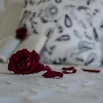 Avra Иос